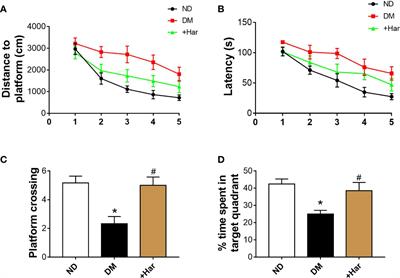 Harmine Ameliorates Cognitive Impairment by Inhibiting NLRP3 Inflammasome Activation and Enhancing the BDNF/TrkB Signaling Pathway in STZ-Induced Diabetic Rats